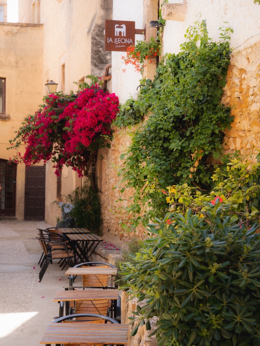Carrer Lleó con la buganvilla y la terraza